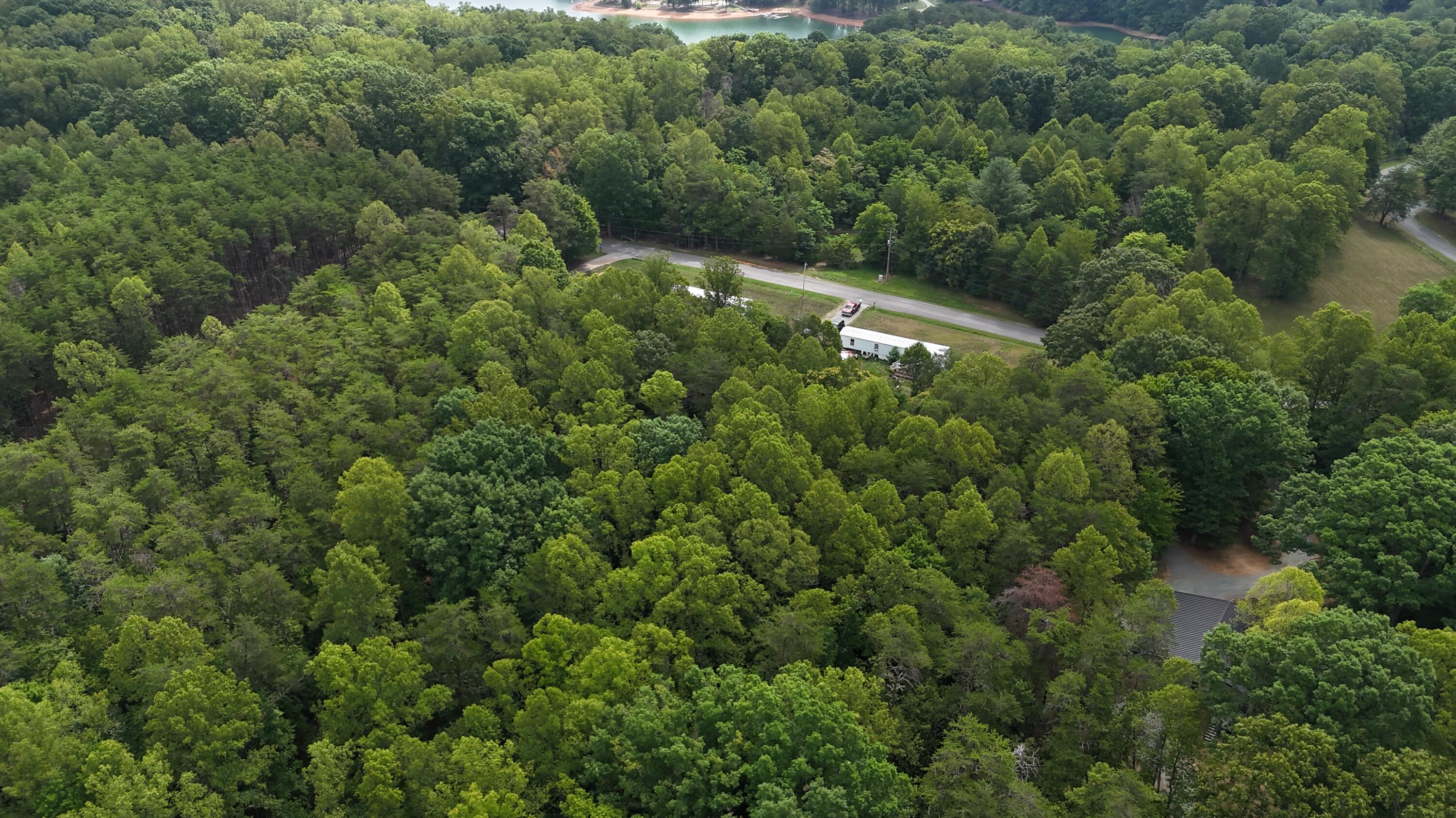 2715-2697 Kemp Ford Road Union Hall, VA 24176 - Photo 12 of 14 DJI_20260708110103_0017_D