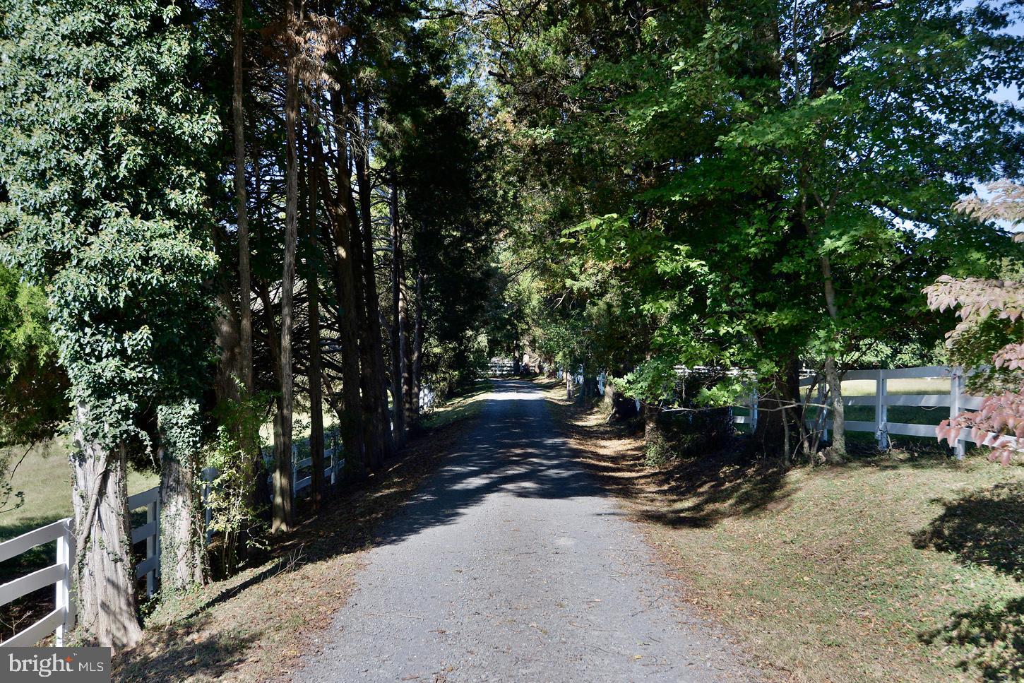 9414 Georgetown Pike Great Falls, VA 22066 - Photo 3 of 38