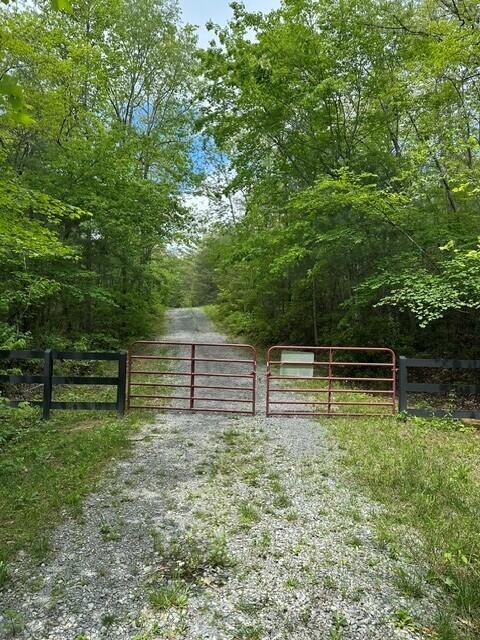 142 Cole Road Deer Lodge, TN 37726 - Photo 12 of 77 14