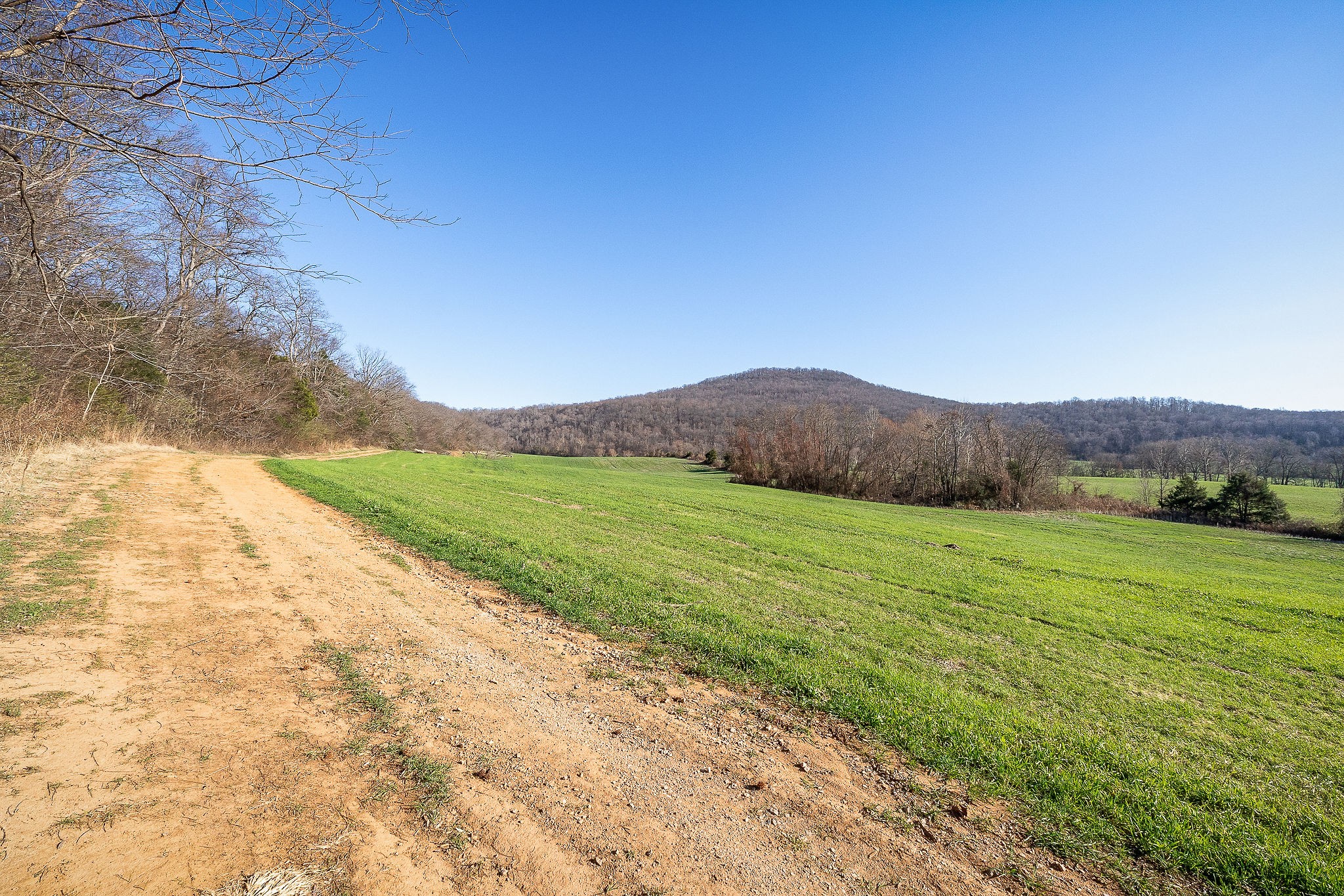 505 Thaxton Road McMinnville, TN 37110 - Photo 30 of 31 a view of grassy field with mountains in background