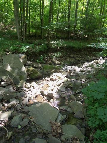 150 New Road Middleburgh, NY 12122 - Photo 17 of 17 Photo 17