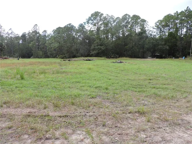 a view of a field with trees in the background