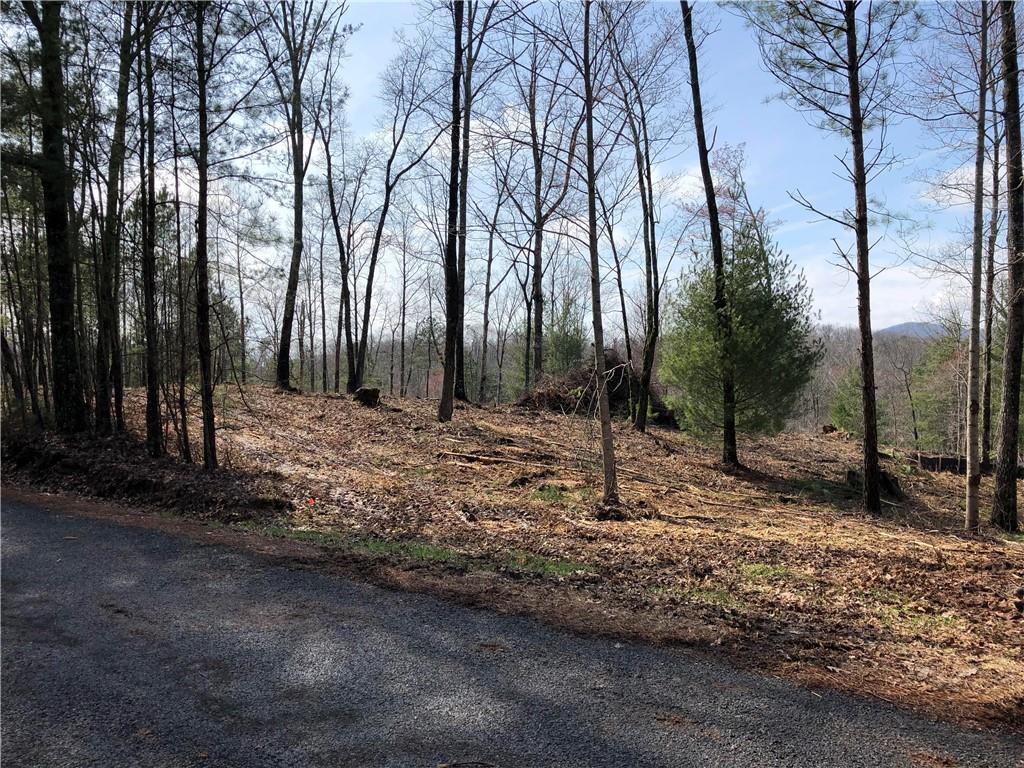 6 Crossroads Church Road Ellijay, GA 30540 - Photo 1 of 1 Gallery Image 1