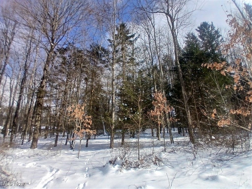 35224 Hull Road Salineville, OH 43945 - Photo 1 of 19