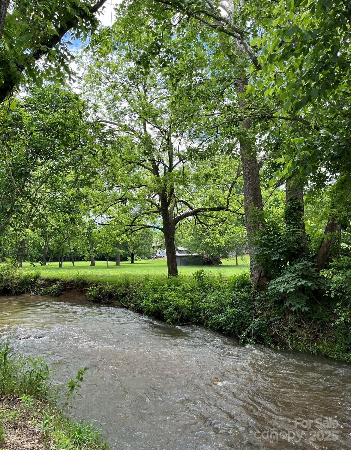 143 Reems Creek Road Weaverville, NC 28787 - Photo 2 of 5 a view of a yard with plants and a large tree