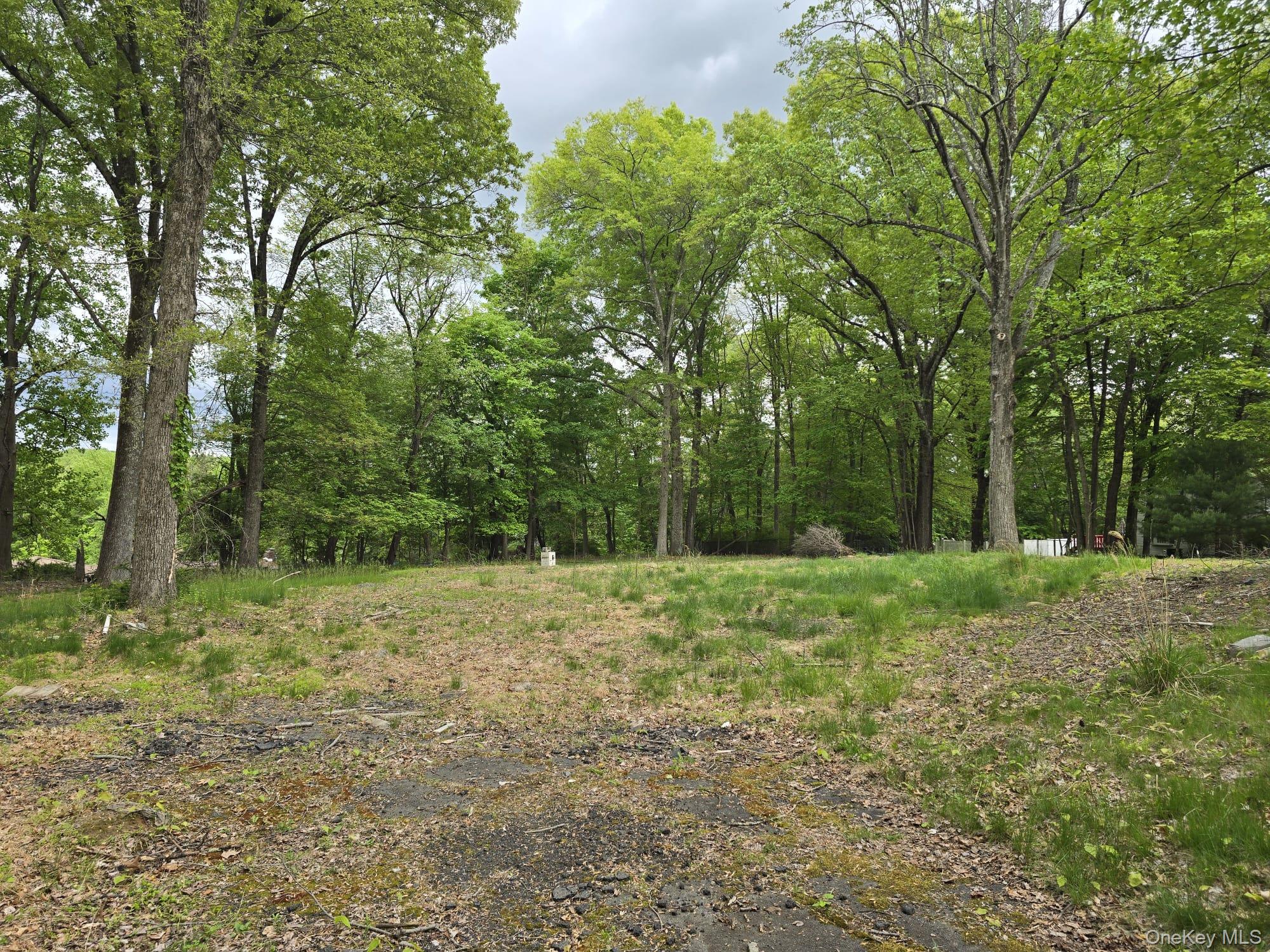 6 Jacqueline Road Monsey, NY 10952 - Photo 4 of 7