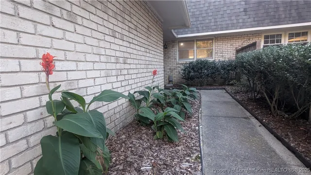 a potted plant sitting in front of a house