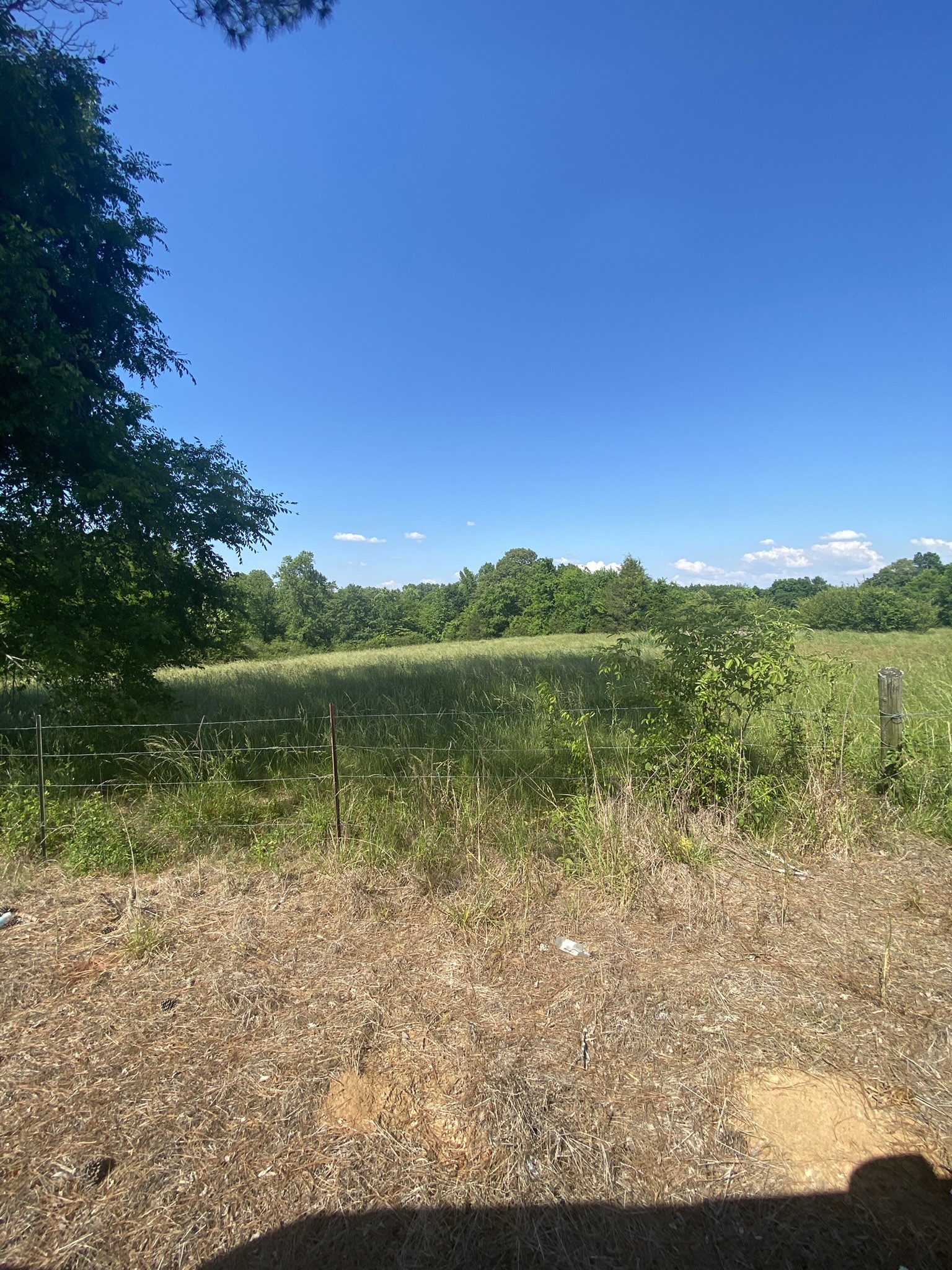 656 County Road Anderson, AL 35610 - Photo 6 of 15 a view of lake with green space