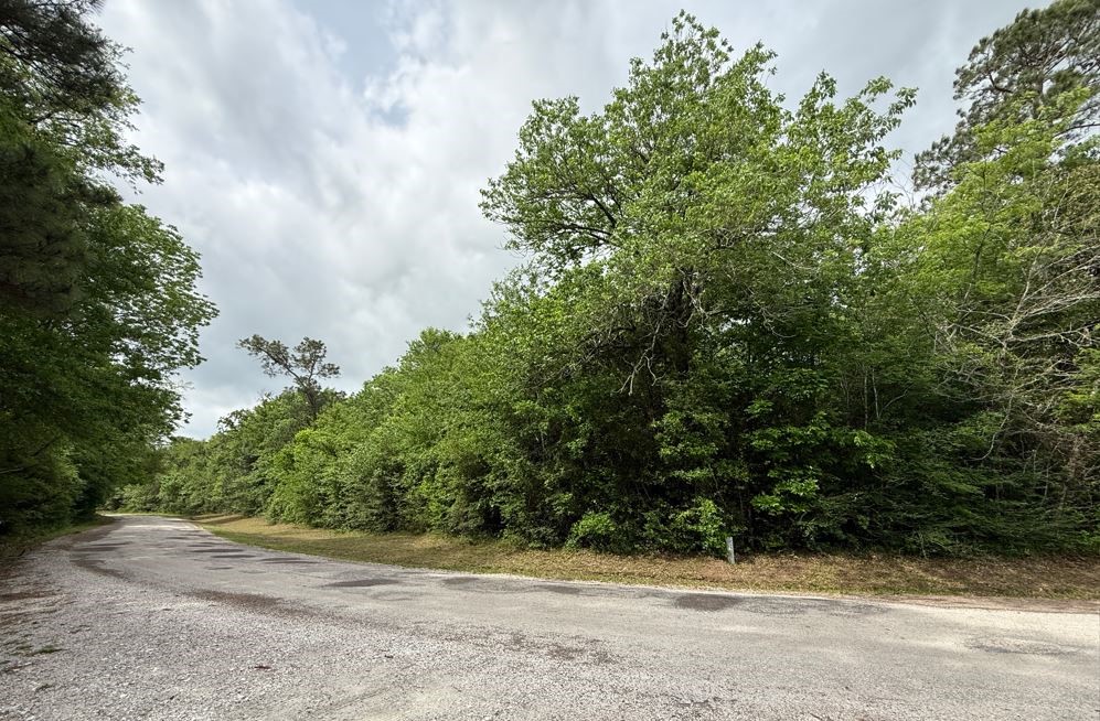 1374 West Rd Huntsville Tx 77340 Road Huntsville, TX 77340 - Photo 3 of 9 VIEW FROM BALL ROAD