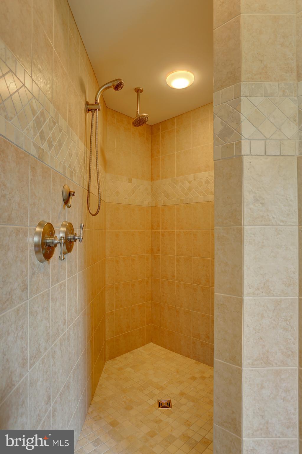 507 Dorset Street Lititz, PA 17543 - Photo 31 of 53 Owner's bath