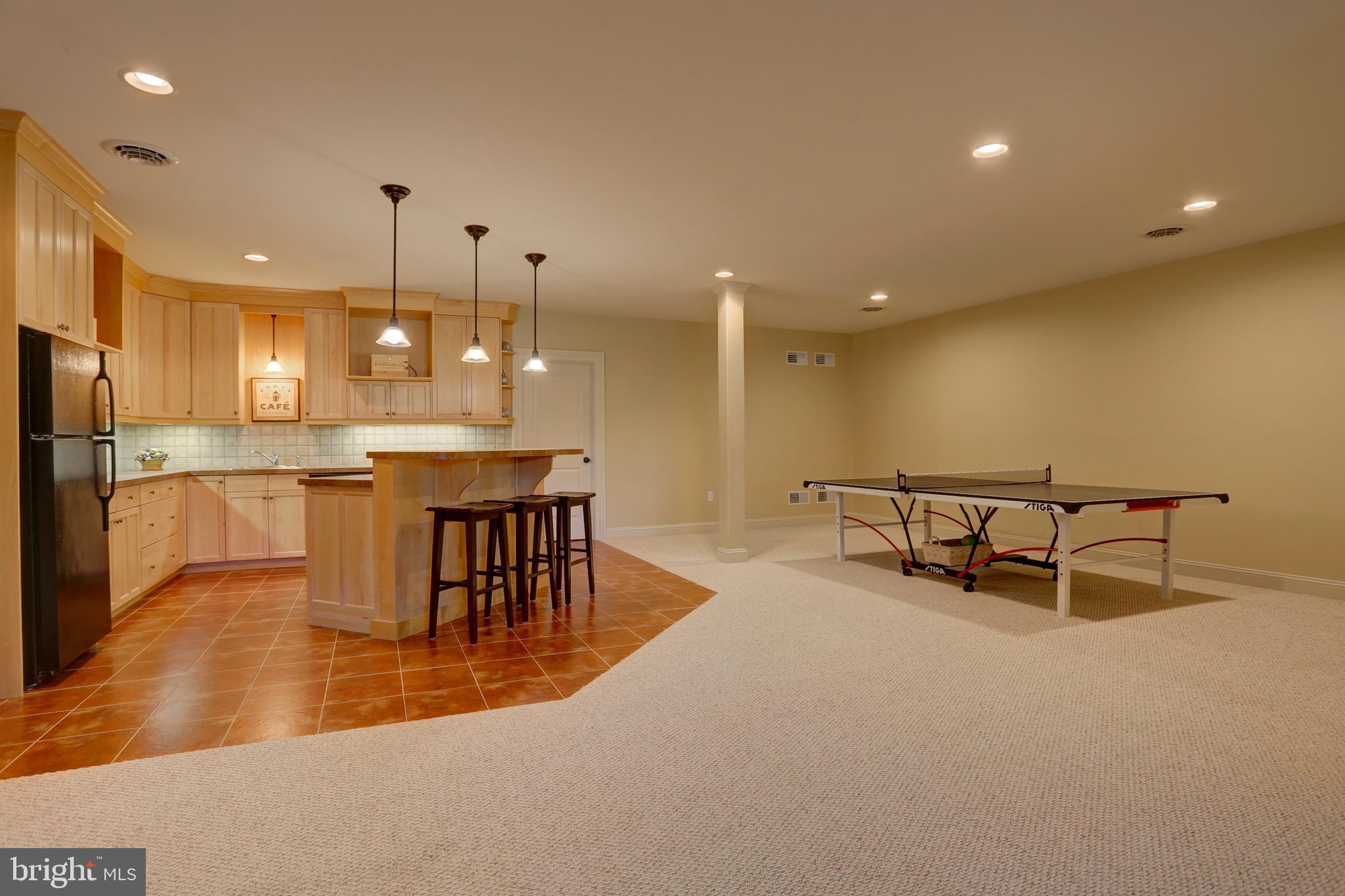 507 Dorset Street Lititz, PA 17543 - Photo 41 of 53 Finished lower level