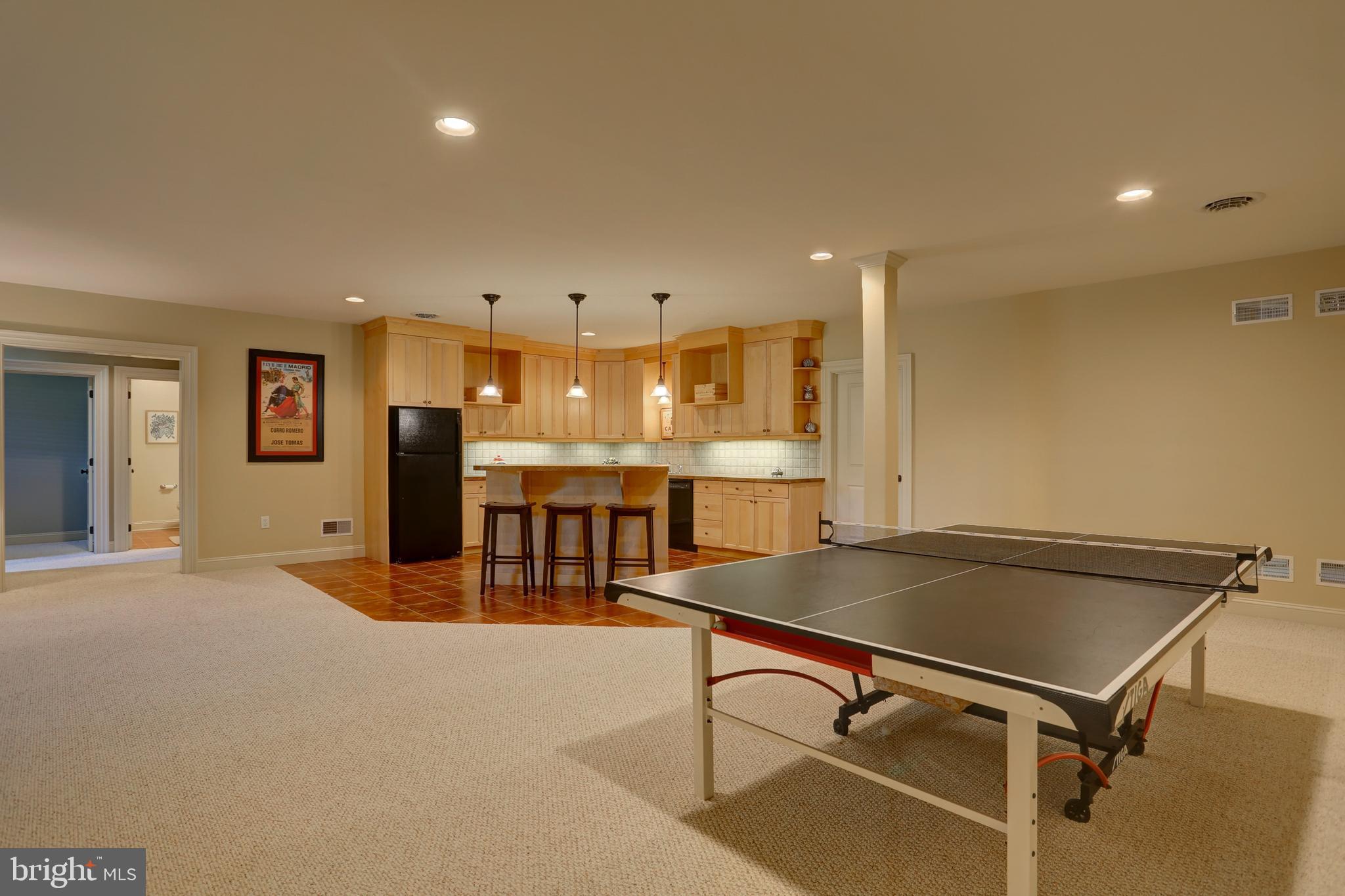 507 Dorset Street Lititz, PA 17543 - Photo 42 of 53 Finished lower level game area