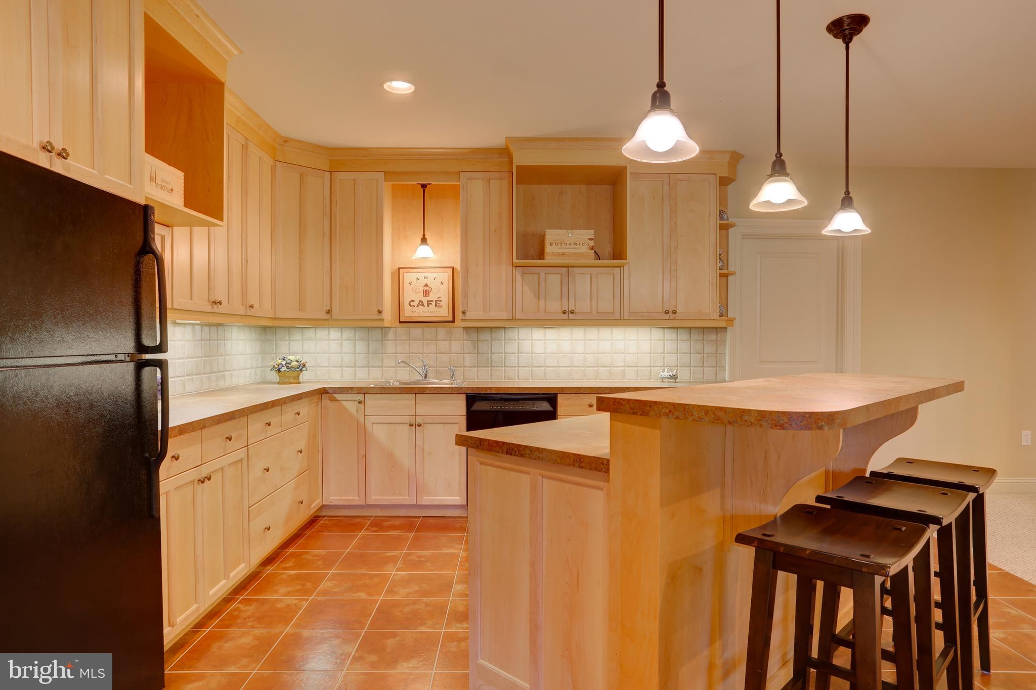 507 Dorset Street Lititz, PA 17543 - Photo 43 of 53 Finished lower level kitchen