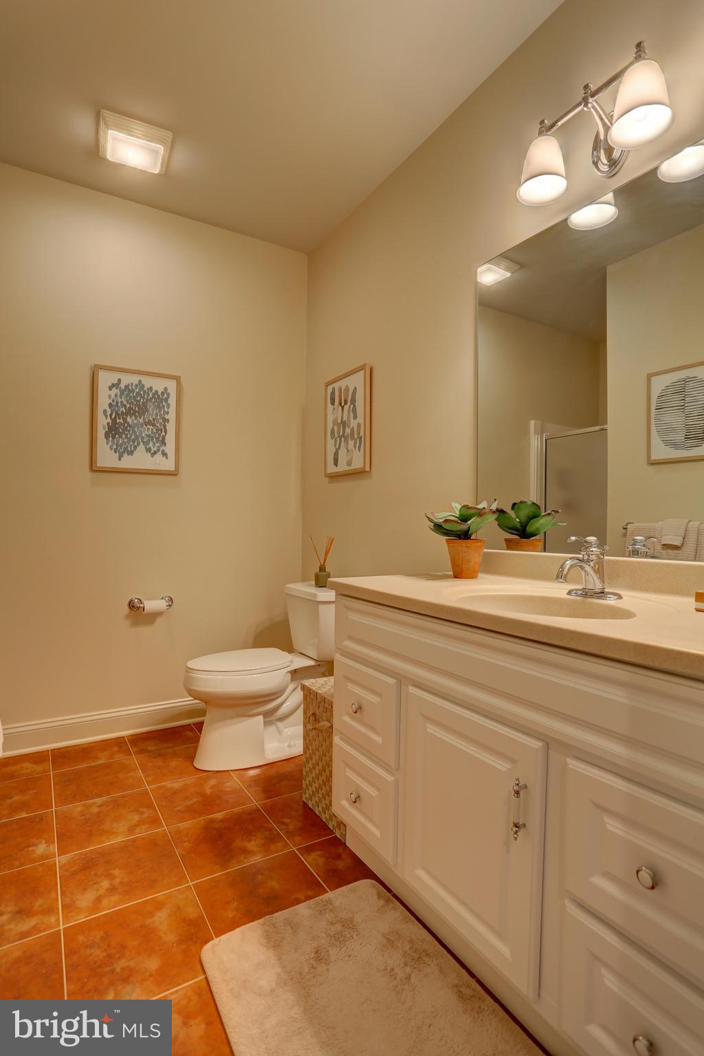 507 Dorset Street Lititz, PA 17543 - Photo 46 of 53 Lower level full bath