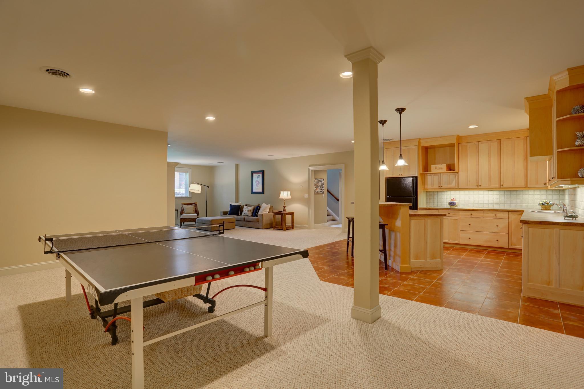 507 Dorset Street Lititz, PA 17543 - Photo 8 of 53 Finished lower level game area