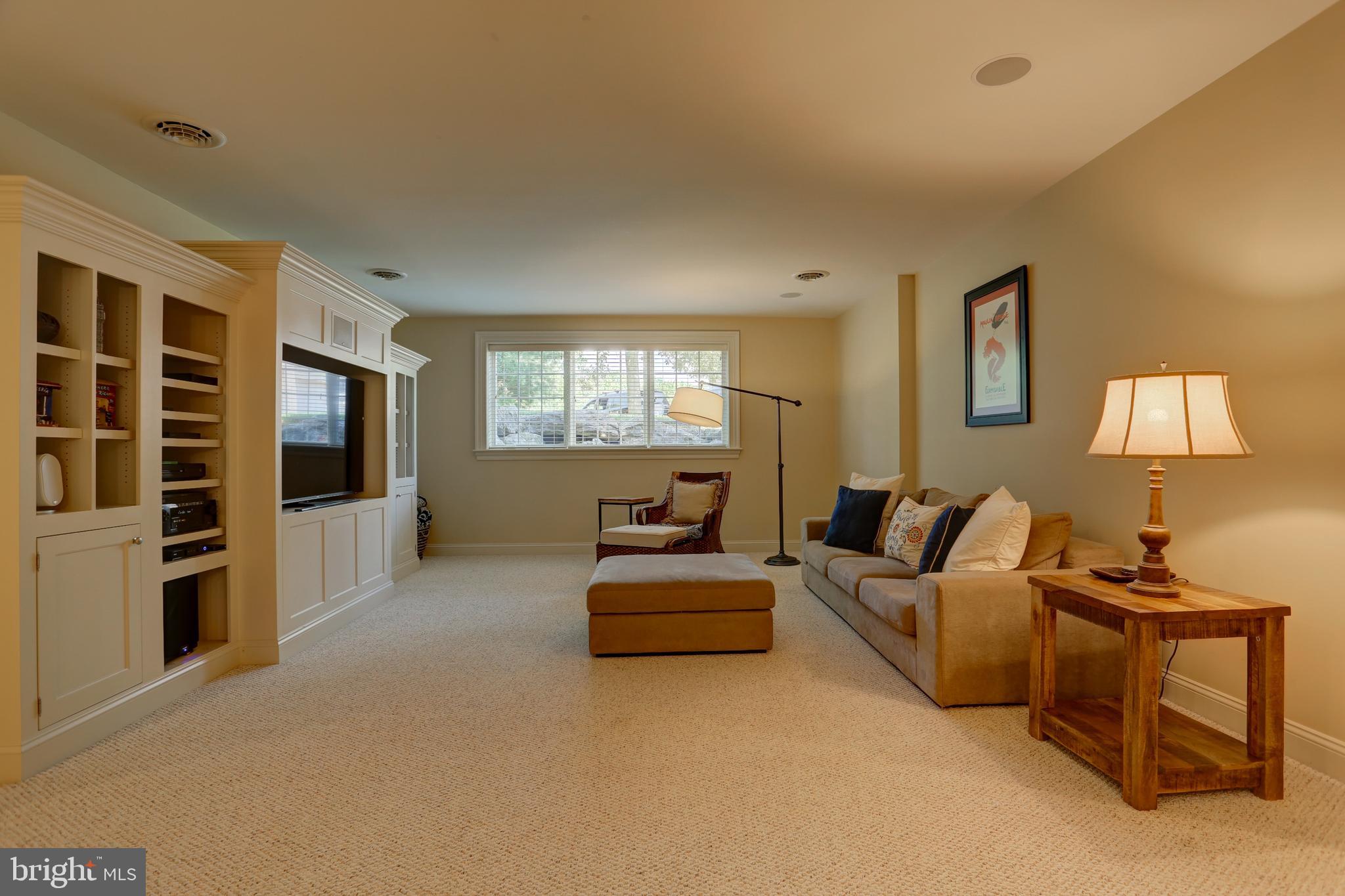 507 Dorset Street Lititz, PA 17543 - Photo 9 of 53 Finished lower level family room
