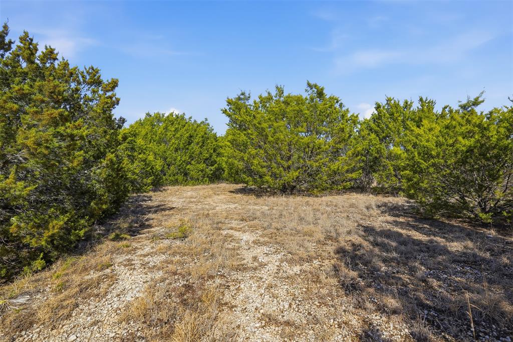 3123 Rio Grande Circle Cresson, TX 76035 - Photo 3 of 8