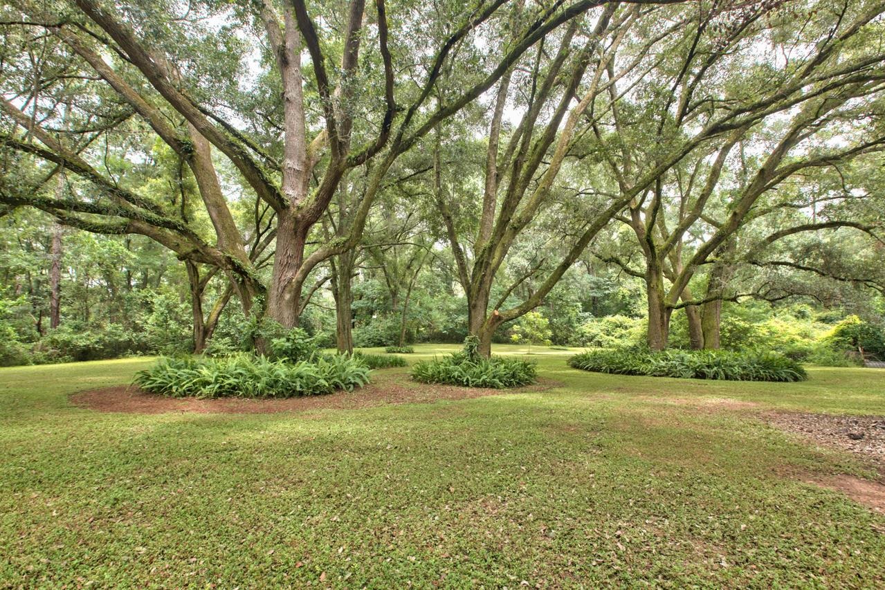 3497 Almanac Road Tallahassee, FL 32309 - Photo 19 of 33 Gallery Image 19