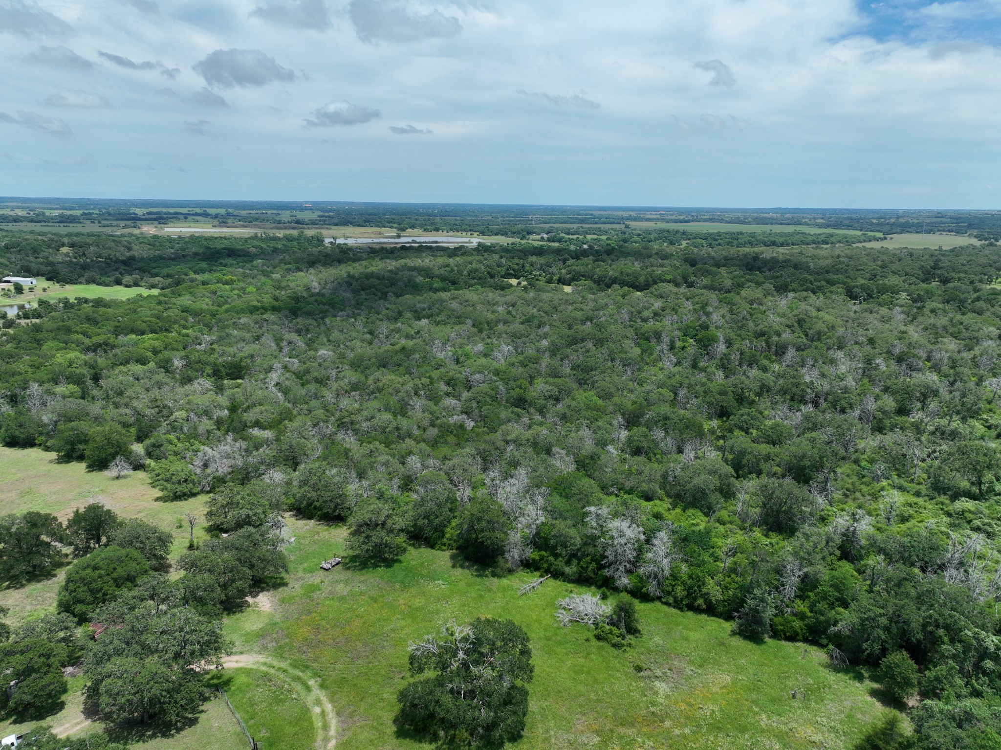 3233 Farm To Market 3233 Road La Grange, TX 78945 - Photo 6 of 18 Aerial view of property's location featuring a forest