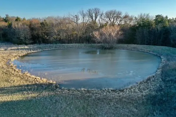 a view of a yard with wooden fence