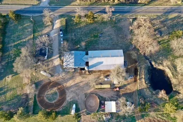 a view of a plant in a garden