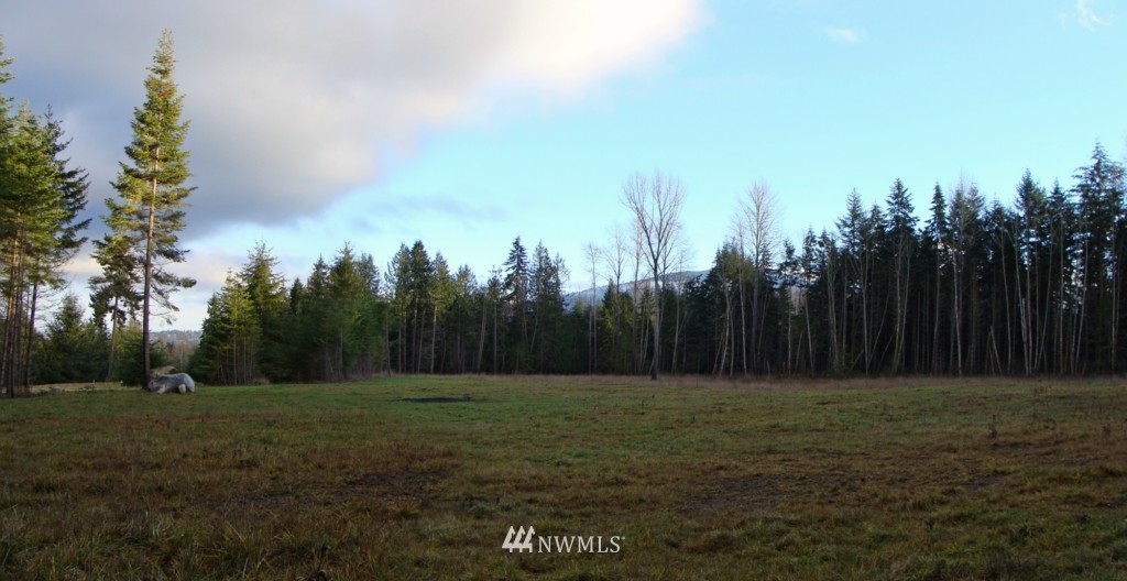 724 Roupe Road Sequim, WA 98382 - Photo 2 of 15