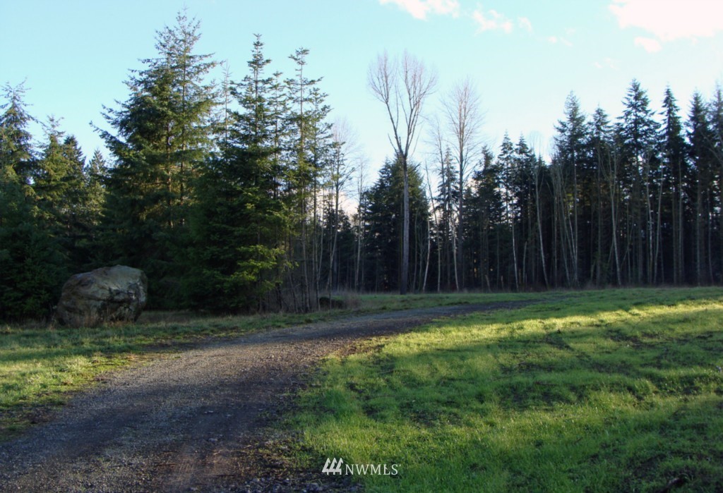 724 Roupe Road Sequim, WA 98382 - Photo 4 of 15
