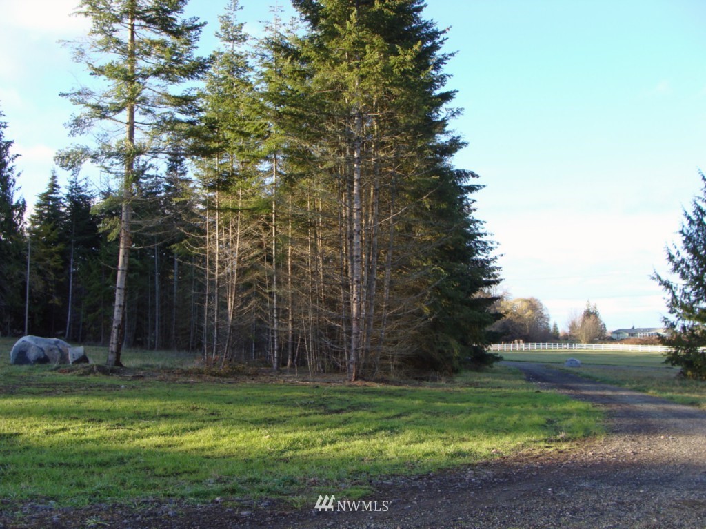 724 Roupe Road Sequim, WA 98382 - Photo 5 of 15