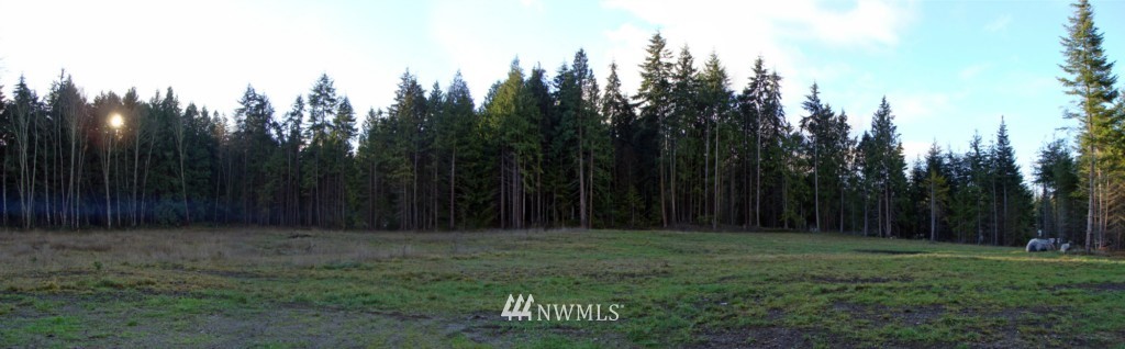 724 Roupe Road Sequim, WA 98382 - Photo 6 of 15