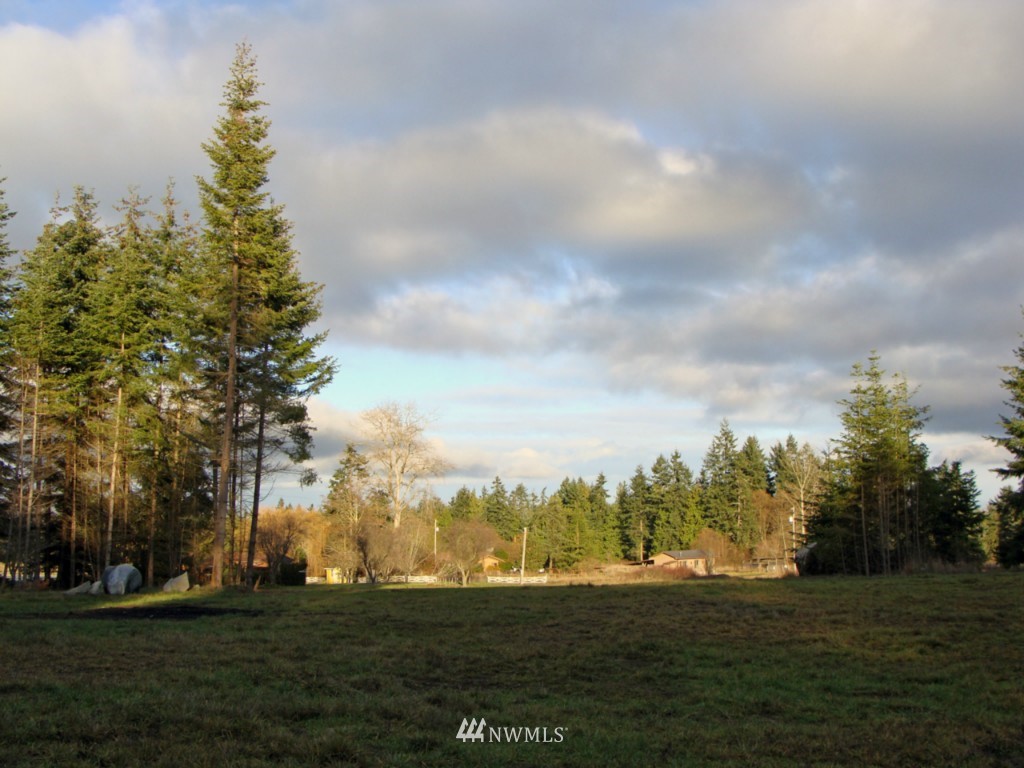 724 Roupe Road Sequim, WA 98382 - Photo 7 of 15