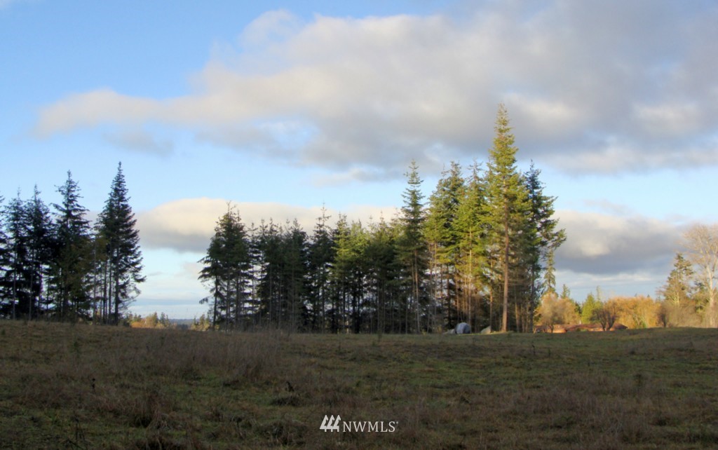 724 Roupe Road Sequim, WA 98382 - Photo 10 of 15