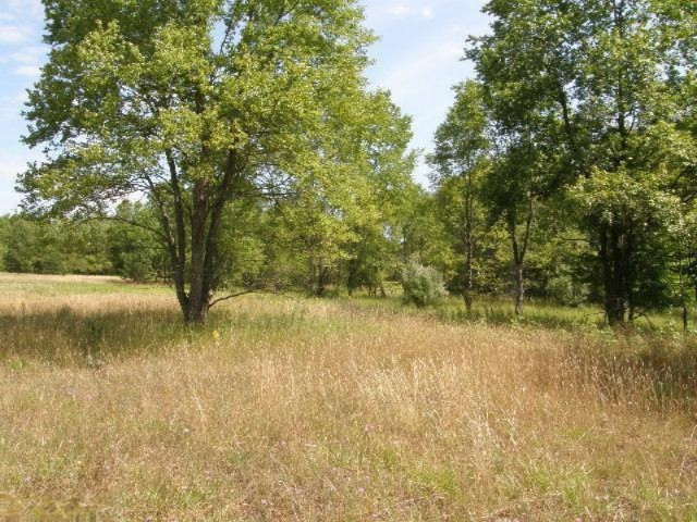 East Beyer Road, Unit 15A Free Soil, MI 49411 - Photo 11 of 19 Additional Photo
