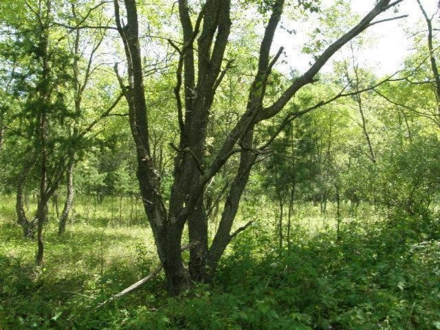 East Beyer Road, Unit 15A Free Soil, MI 49411 - Photo 12 of 19 Additional Photo