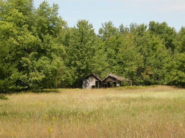 East Beyer Road, Unit 15A Free Soil, MI 49411 - Photo 18 of 19 Additional Photo