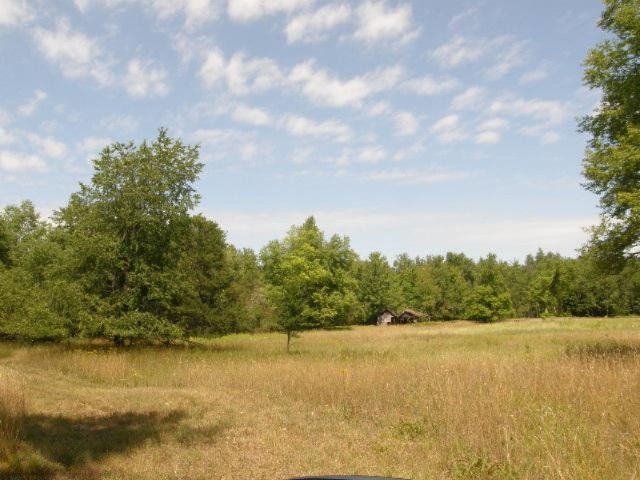 East Beyer Road, Unit 15A Free Soil, MI 49411 - Photo 19 of 19 Additional Photo