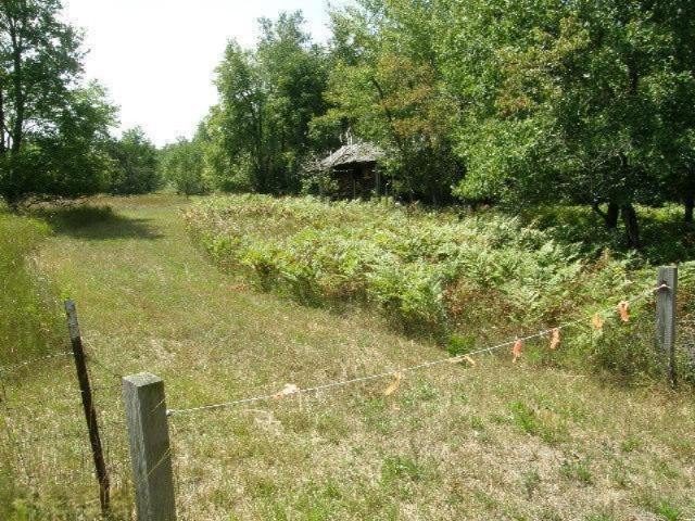 East Beyer Road, Unit 15A Free Soil, MI 49411 - Photo 4 of 19 Additional Photo