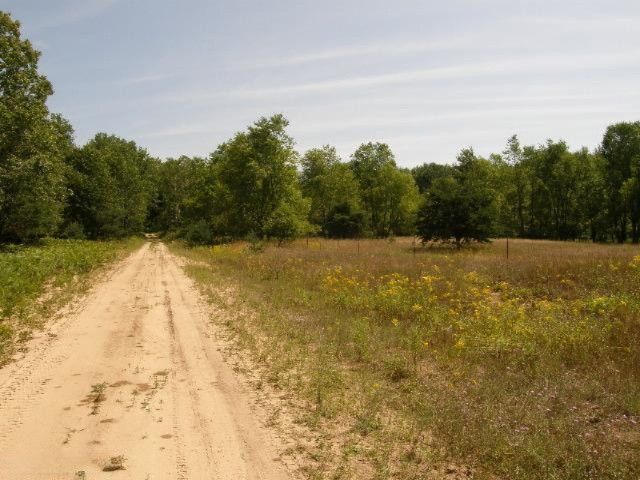 East Beyer Road, Unit 15A Free Soil, MI 49411 - Photo 6 of 19 Additional Photo