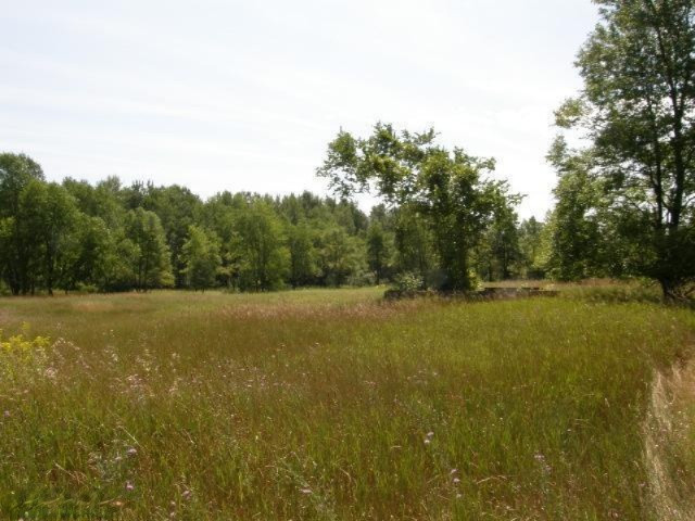 East Beyer Road, Unit 15A Free Soil, MI 49411 - Photo 7 of 19 Additional Photo
