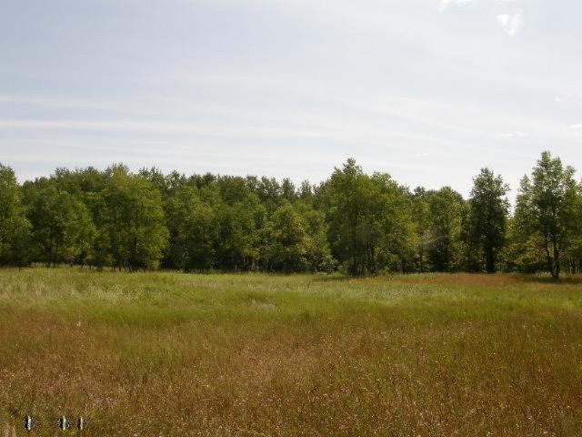 East Beyer Road, Unit 15A Free Soil, MI 49411 - Photo 9 of 19 Additional Photo