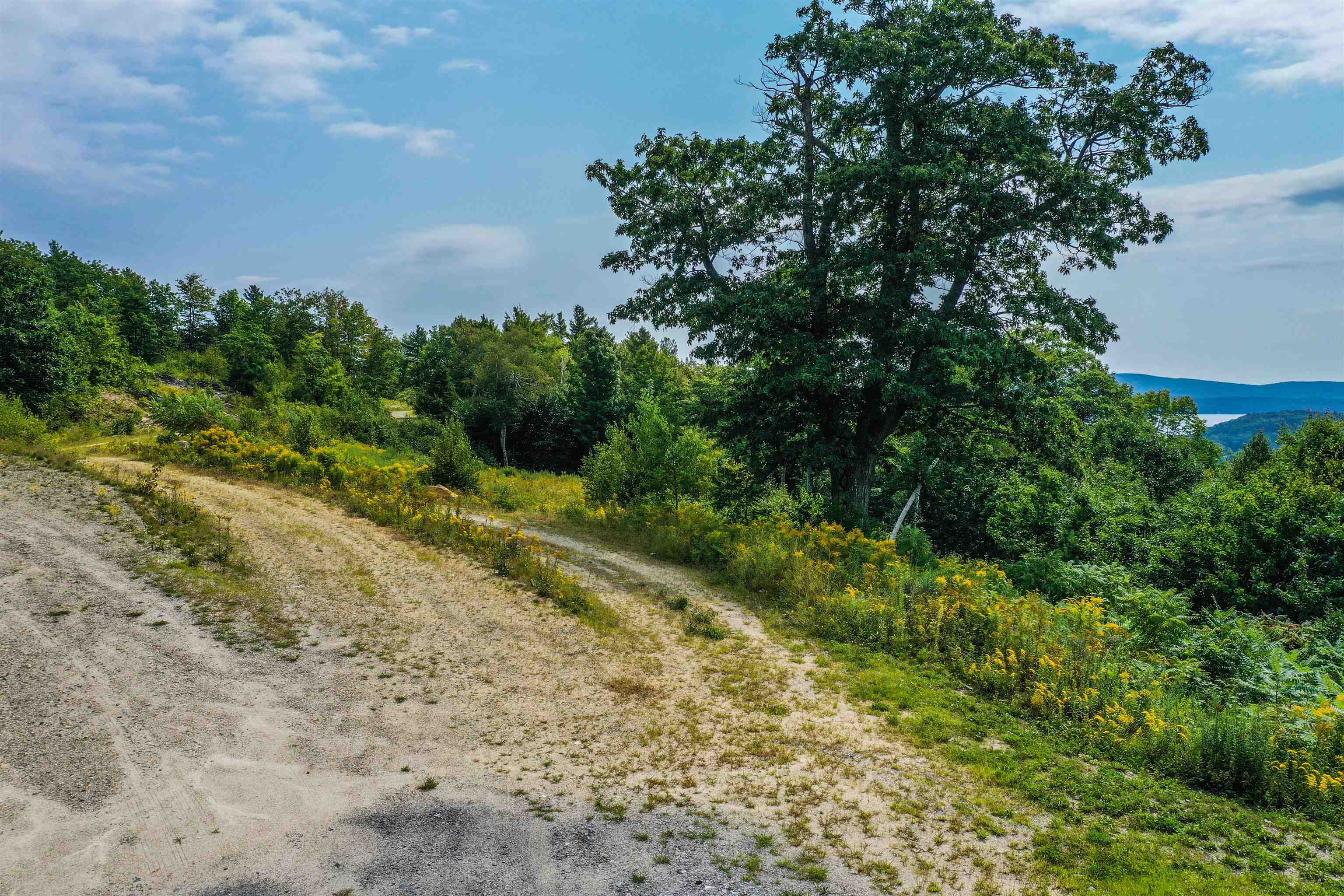 Lot #4 Granite Ridge Road Sunapee, NH 03782 - Photo 4 of 7