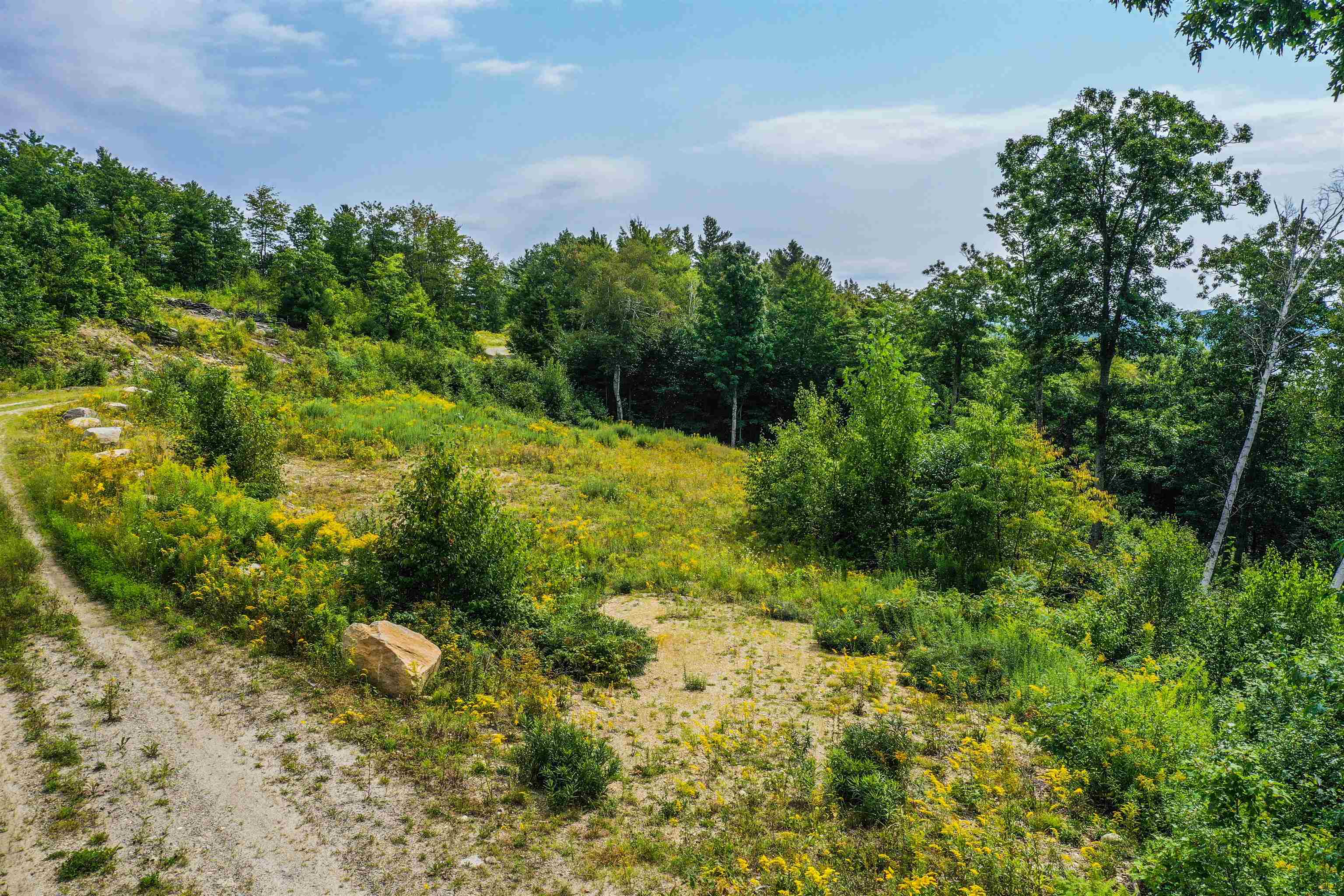 Lot #4 Granite Ridge Road Sunapee, NH 03782 - Photo 5 of 7