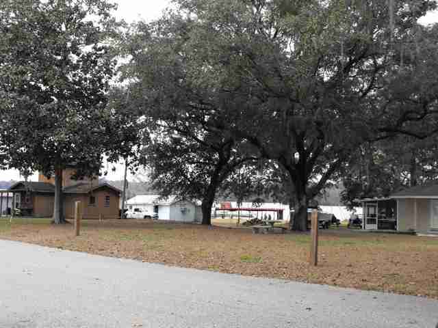 Tbd McCall Bridge Road Quincy, FL 32351 - Photo 14 of 19 Gallery Image 14