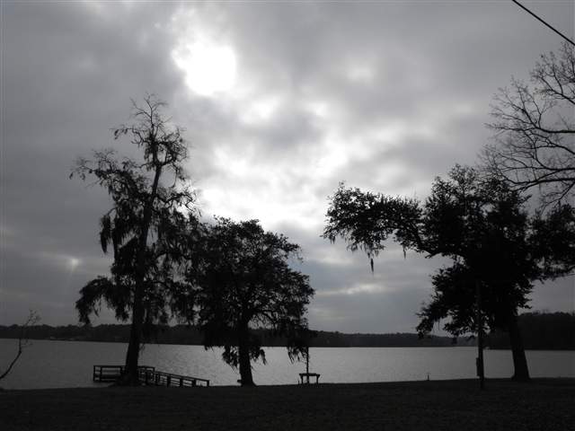 Tbd McCall Bridge Road Quincy, FL 32351 - Photo 19 of 19 Gallery Image 19