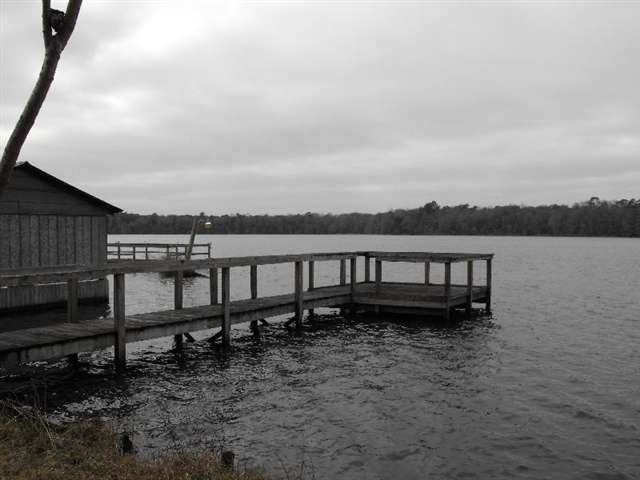 Tbd McCall Bridge Road Quincy, FL 32351 - Photo 9 of 19 Gallery Image 9