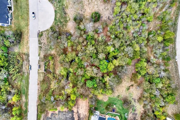 a view of a plant with a plant