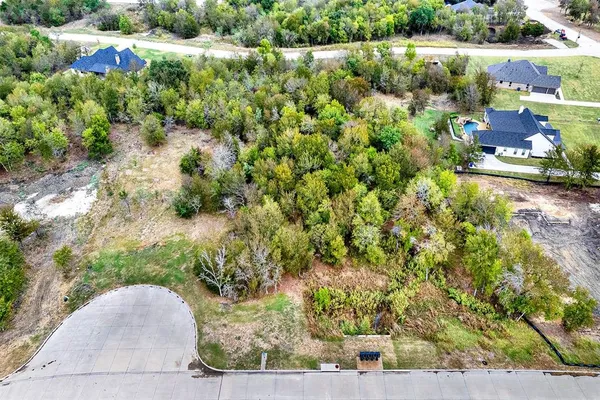a view of a yard with plants