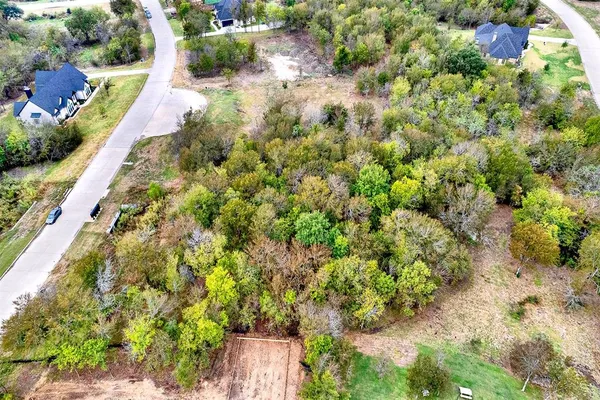a view of a garden with plants