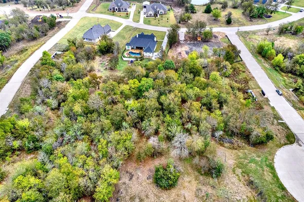 a view of a garden with plants