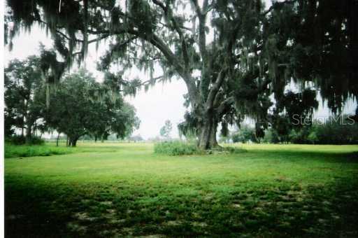 17525 Tuscanooga Road Groveland, FL 34736 - Photo 1 of 1 Land