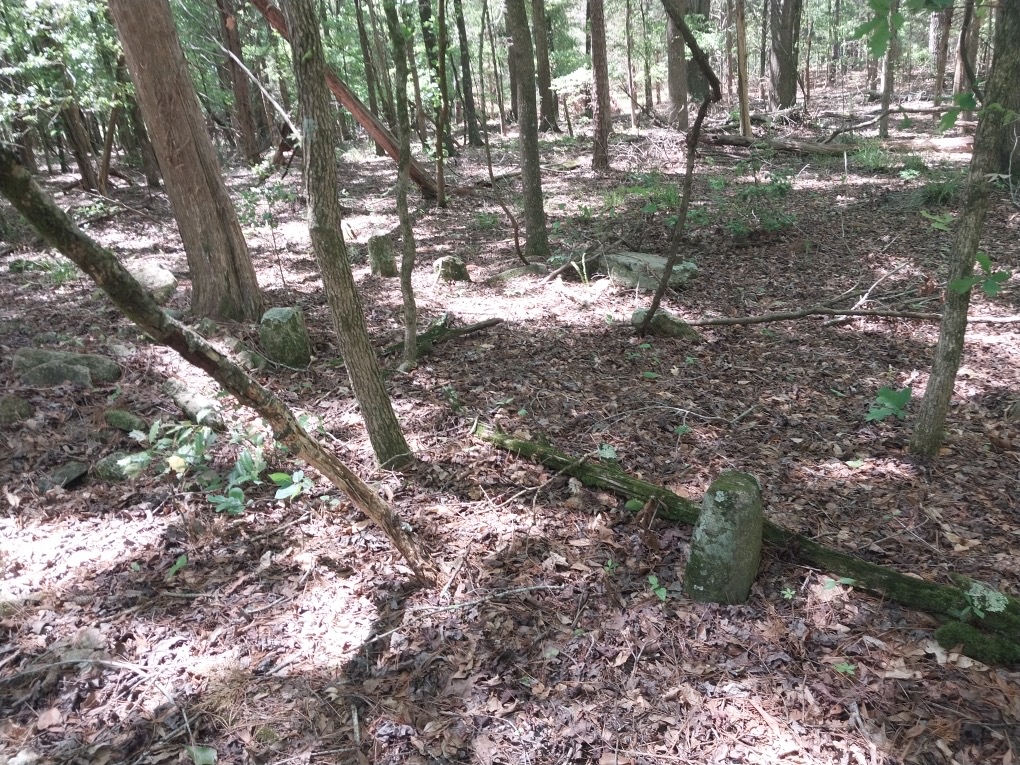 846 Latimer Mill Road Honea Path, SC 29654 - Photo 3 of 17 Gallery Image 3